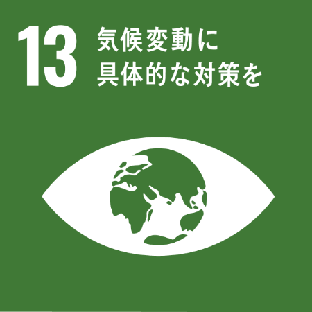 img_sdgs_13.png